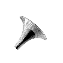 Brasskill-Logo-No-Address-01-inverted